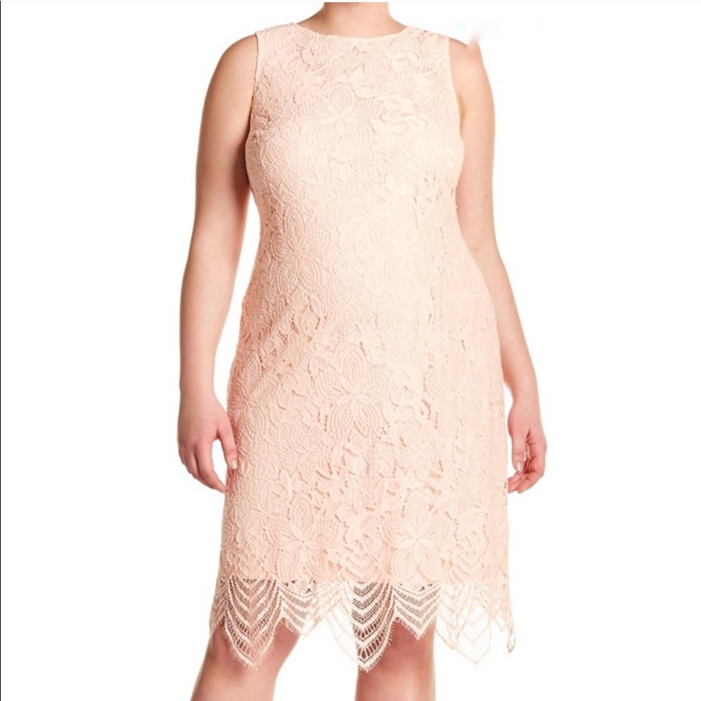 Sharagano Scallop Lace Tank Pink Dress Sleeveless